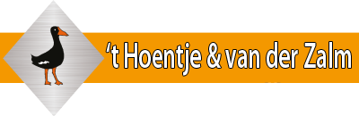 Verhuisbedrijf ’t Hoentje & Van der Zalm